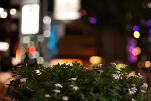 2025-10-00 Osaka, Japan - Osaka (78).webp